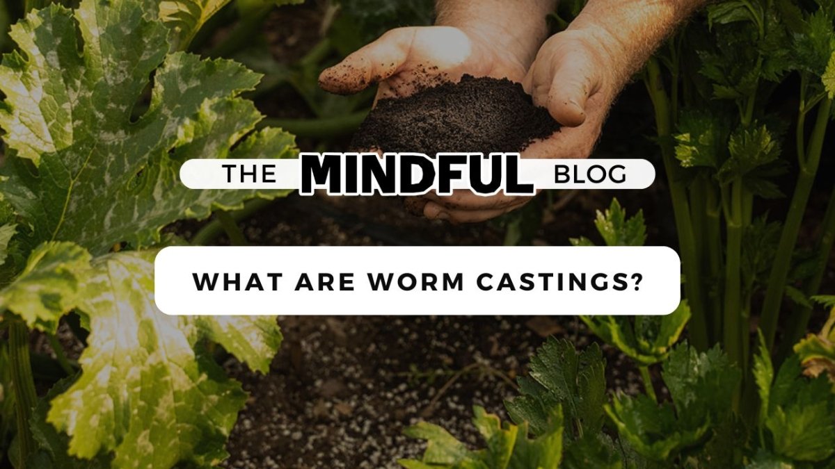 What Are Worm Castings? - Mindful Farmer