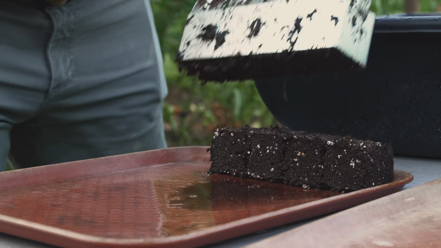 Soil Blocker - Medium-4 -  Ladbrooke