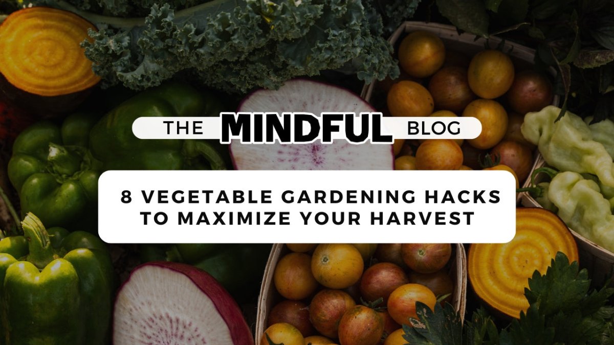 8 Vegetable Gardening Hacks to Maximize Your Harvest - Mindful Farmer