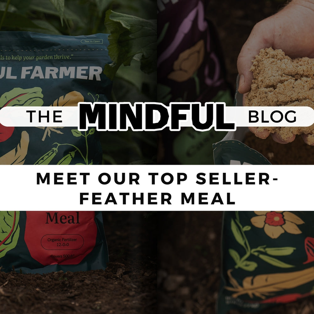 Meet a Top Seller- Feather Meal - Mindful Farmer