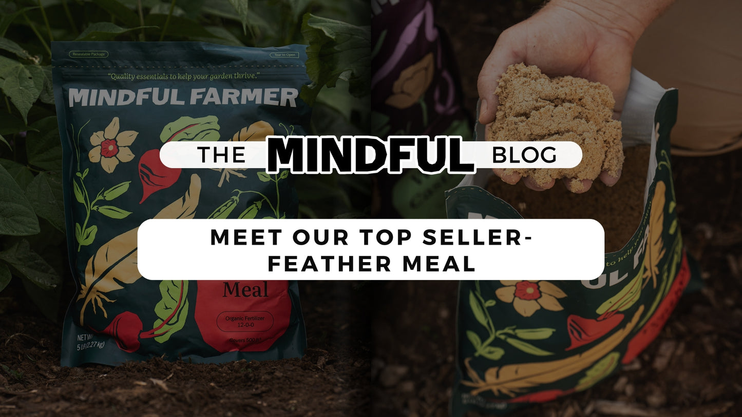 Meet a Top Seller- Feather Meal - Mindful Farmer