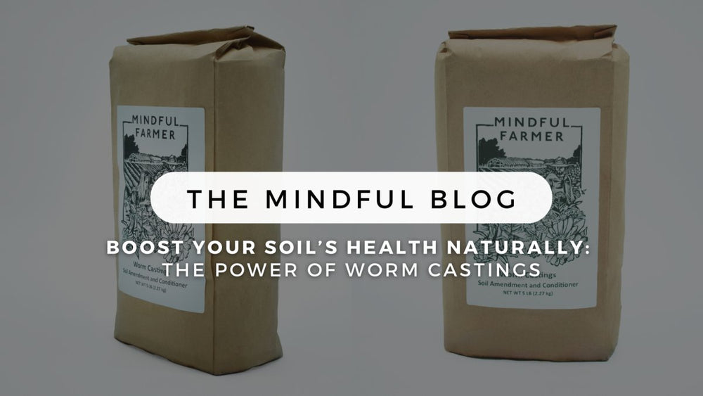 Boost Your Soil's Health Naturally: The Power of Worm Castings - Mindful Farmer