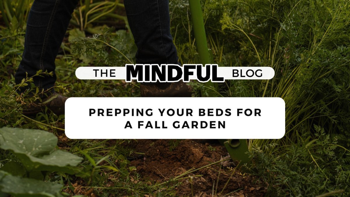 Prepping Your Beds for a Fall Garden - Mindful Farmer