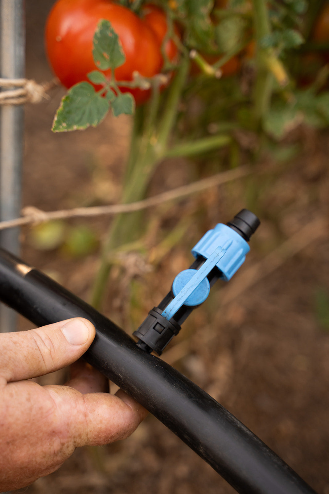 High Tunnel Drip Irrigation Kit