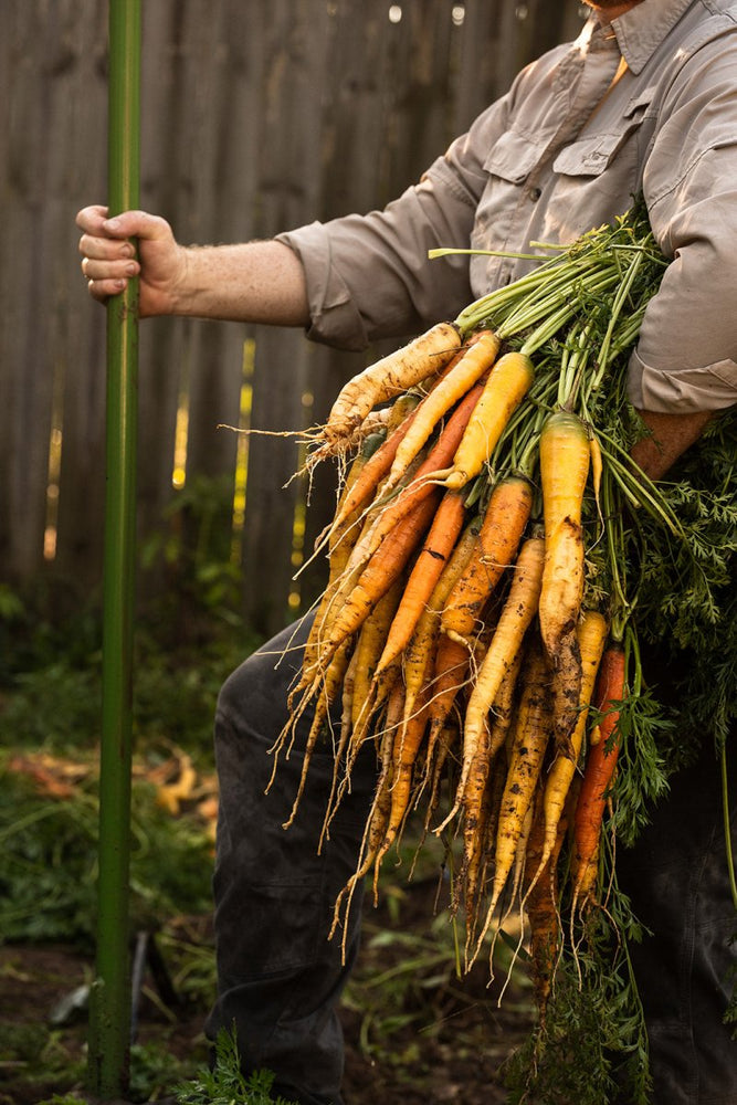 
                      
                        Cool - Season Gardening Hands - On Workshop and Dinner - Mindful Farmer
                      
                    
