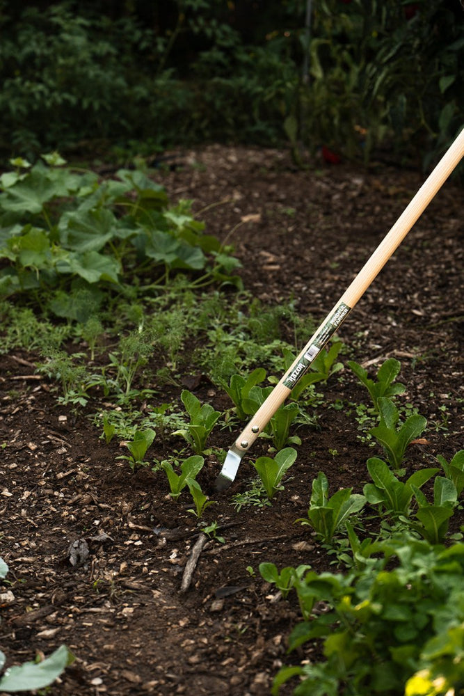 
                      
                        Cool - Season Gardening Hands - On Workshop and Dinner - Mindful Farmer
                      
                    