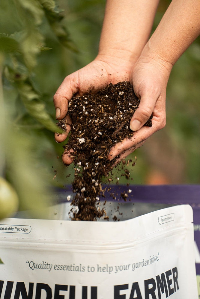 
                      
                        Houseplant Potting Mix - Mindful Farmer
                      
                    