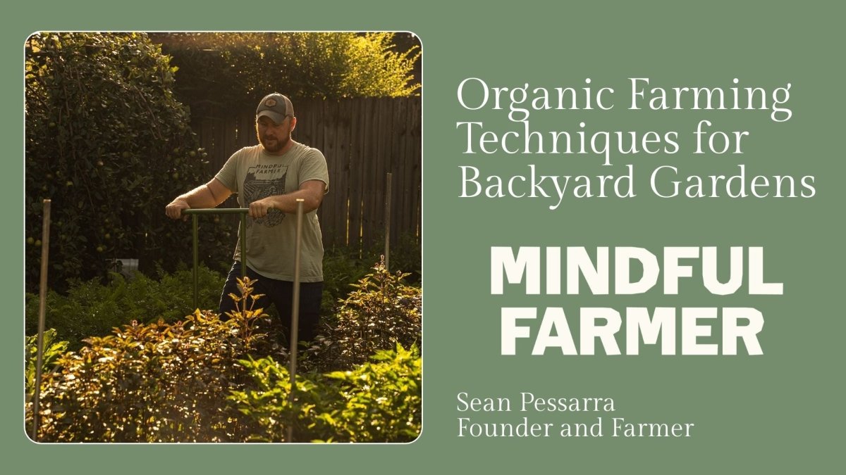 Organic Farming Techniques for Backyard Gardens - Mindful Farmer