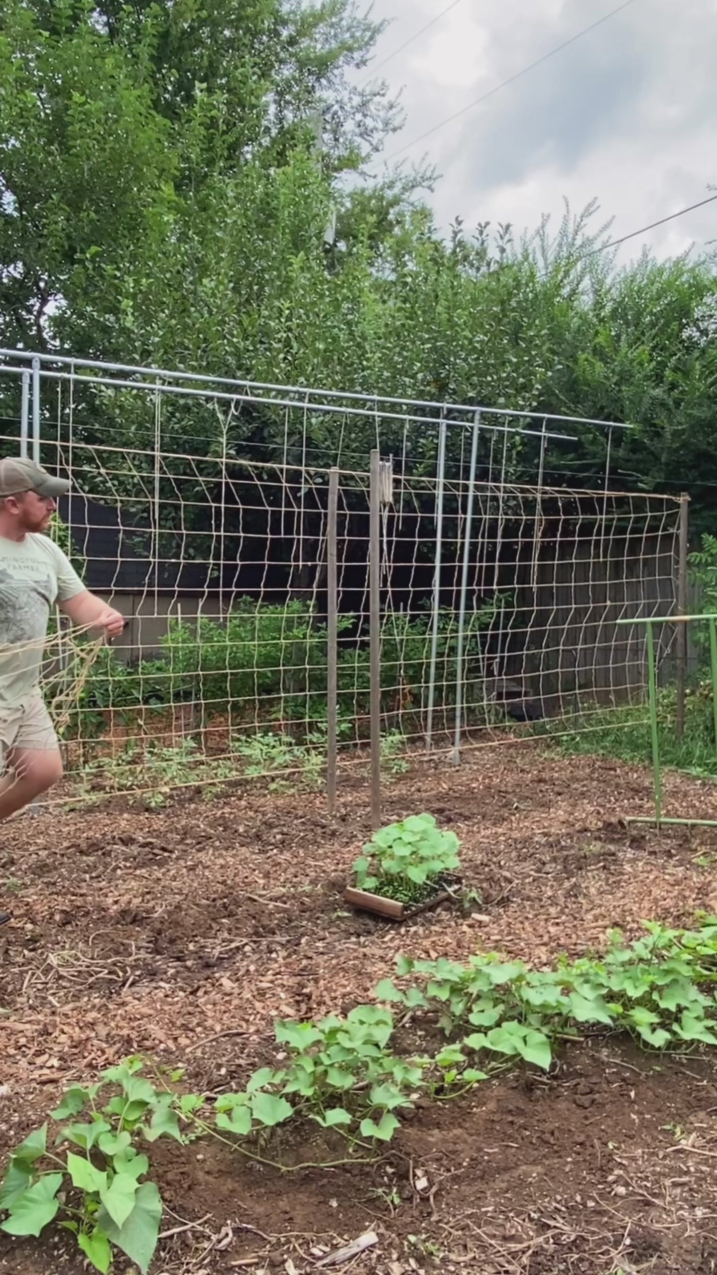 Jute Trellis Netting (6.5' x 150')