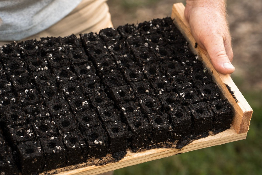 
                      
                        Soil Blocker - Standing - 35 - Ladbrooke - Mindful Farmer
                      
                    