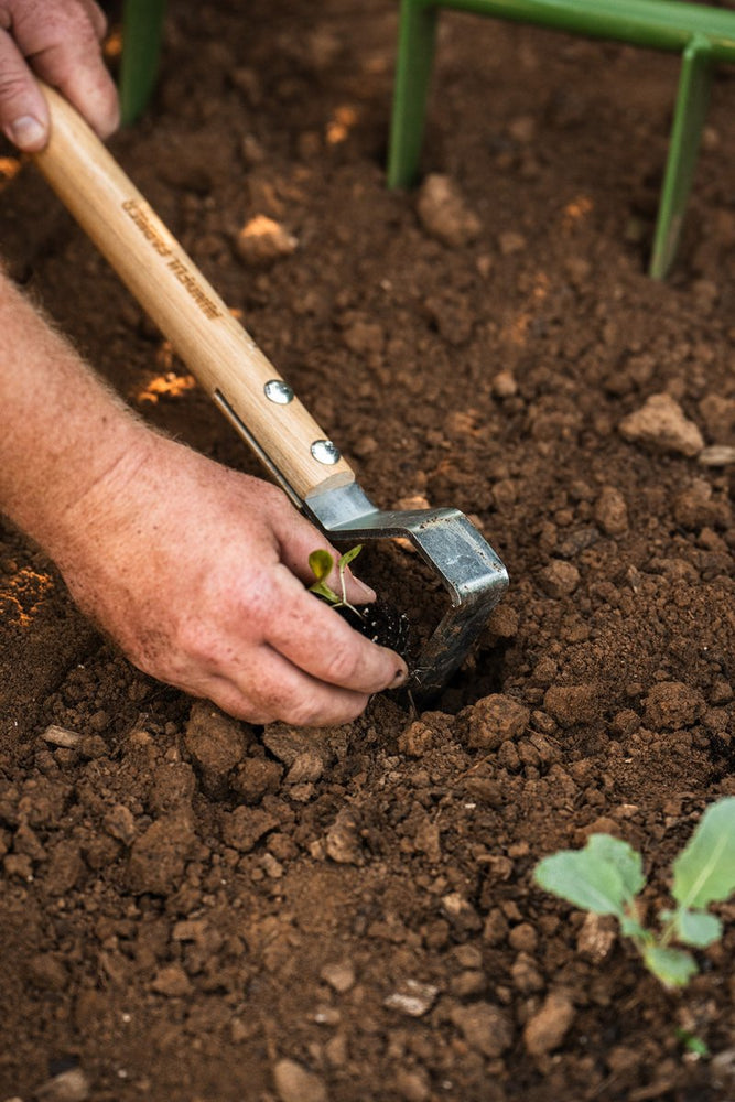 
                      
                        The Razor - Multifunctional Cultivator - Mindful Farmer
                      
                    