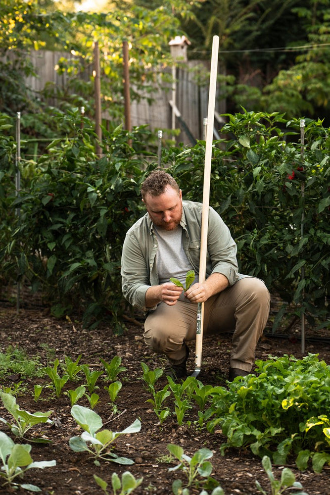 
                      
                        The Razor - Multifunctional Cultivator - Mindful Farmer
                      
                    