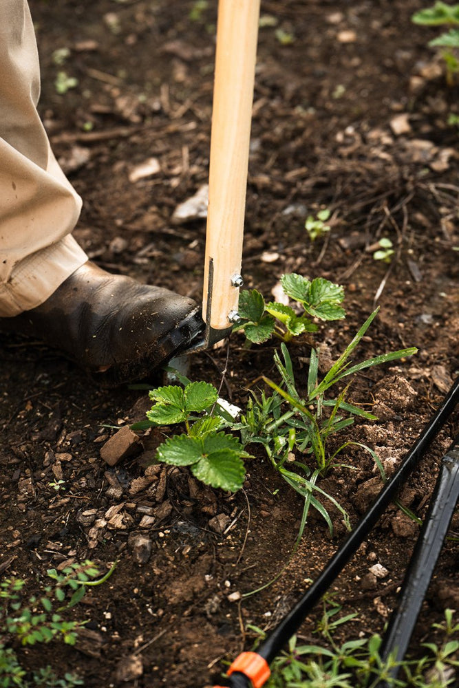 
                      
                        The Razor - Multifunctional Cultivator - Mindful Farmer
                      
                    